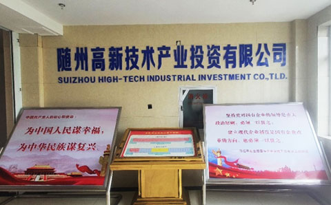 隨州高新技術產業(yè)投資有限公司受讓湖北澴泰資產管理有限公司對隨州市美亞迪光電有限公司債權可行性研究報告項目經驗介紹